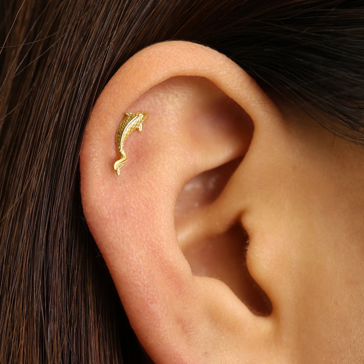 Fisk Helix Øredobb - Cartilage Flatback Øredobber - Helix Smykke & Tragus Piercing (labret stud) - Artlysian