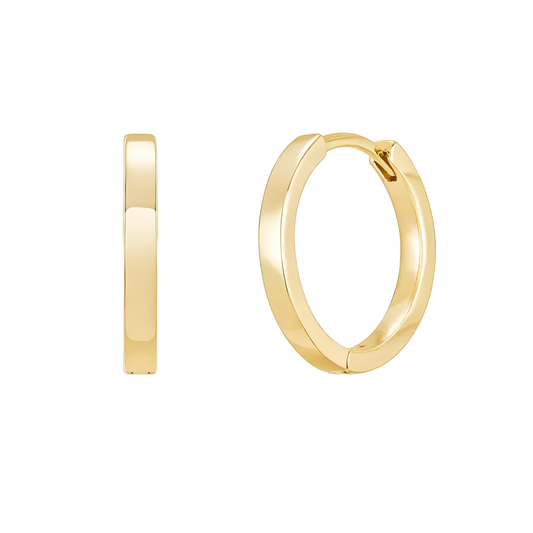 LUNA Small Gold Plated Earrings
